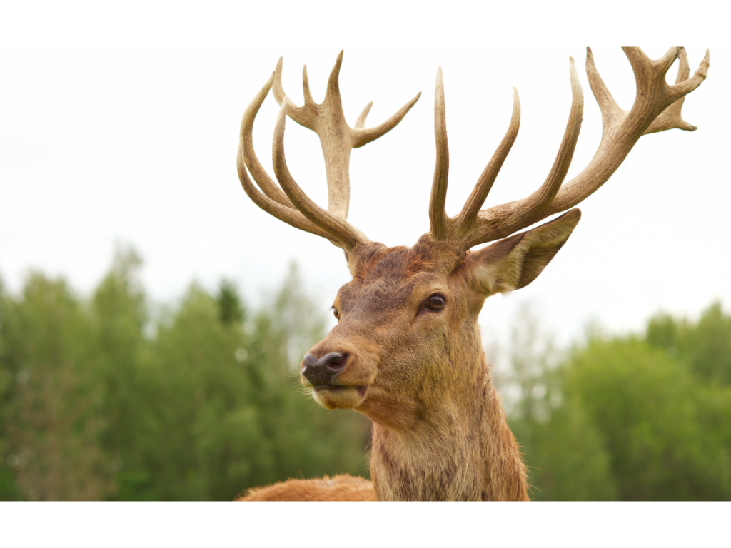 Actividades de aventura en Granada - 5